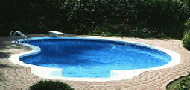 Kidney swimming pool