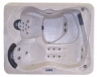 Regal hot tub spa