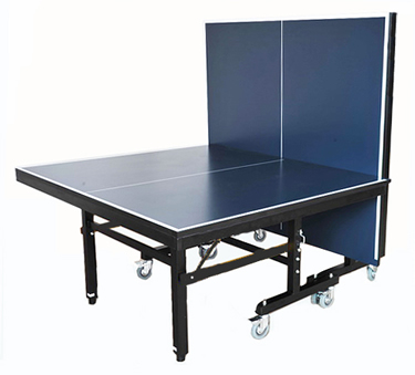 Pro Grade Table Tennis