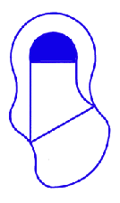 Oddyssey Left Curve