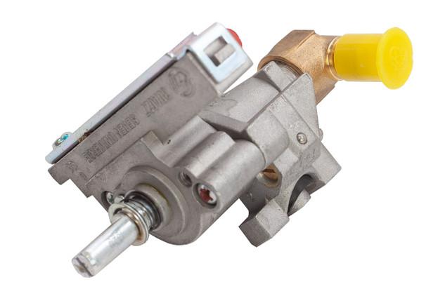 Bull Backburner Valve