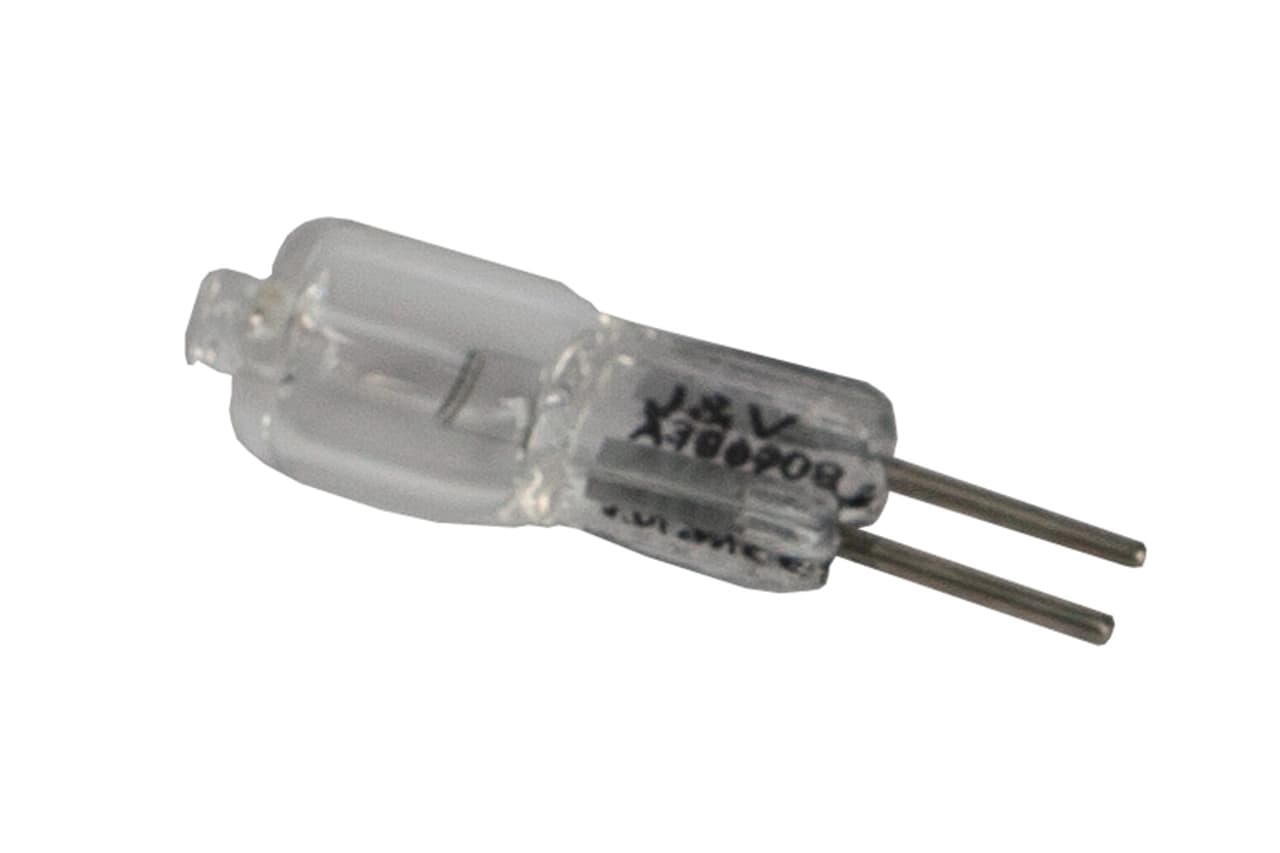 Bull Light Bulb