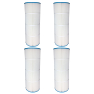 Royal's Choice Hayward Swim Clear C3025, C3030 - 4 filters per box