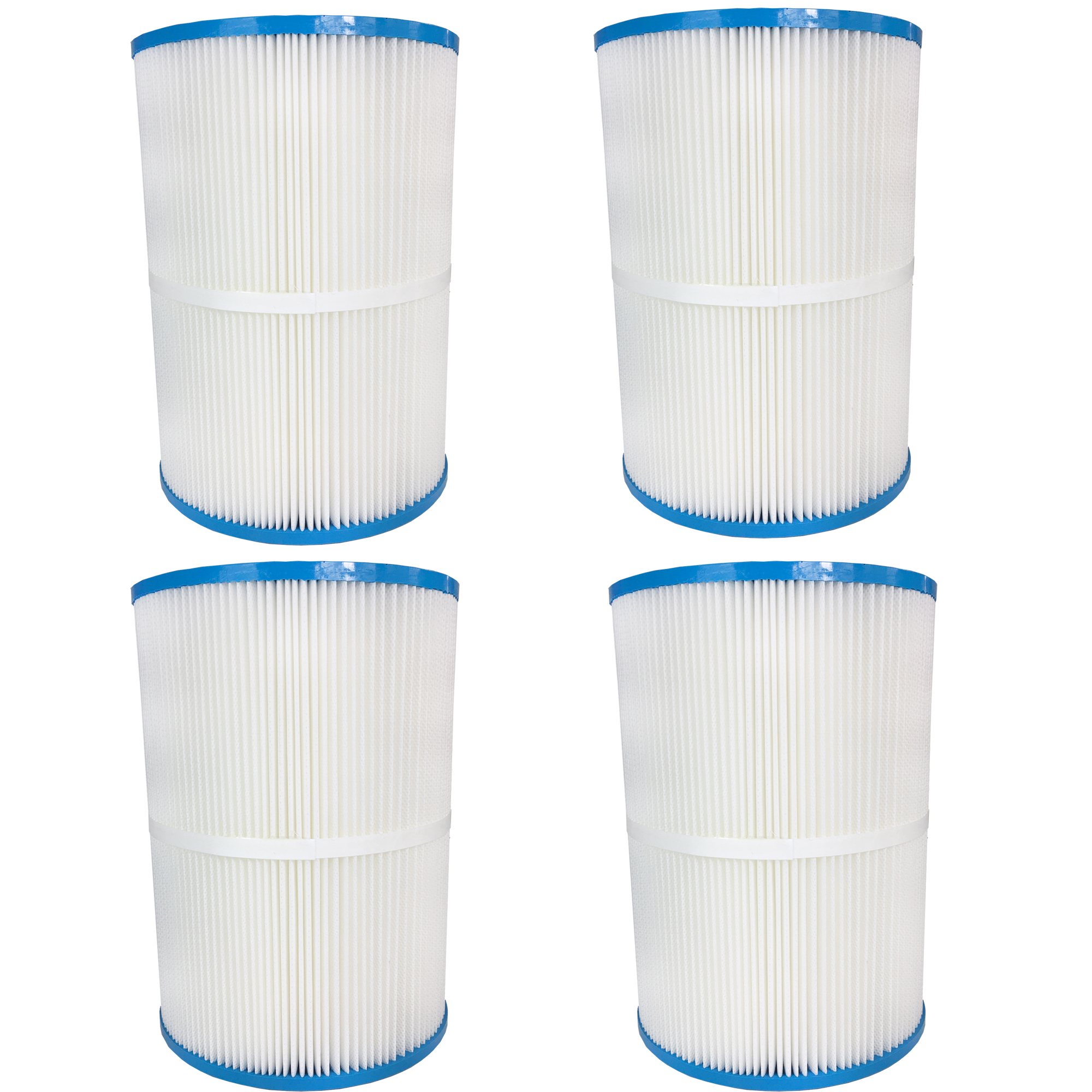 Royal's Choice Hayward, Star-Clear C250 - 4 filters per box