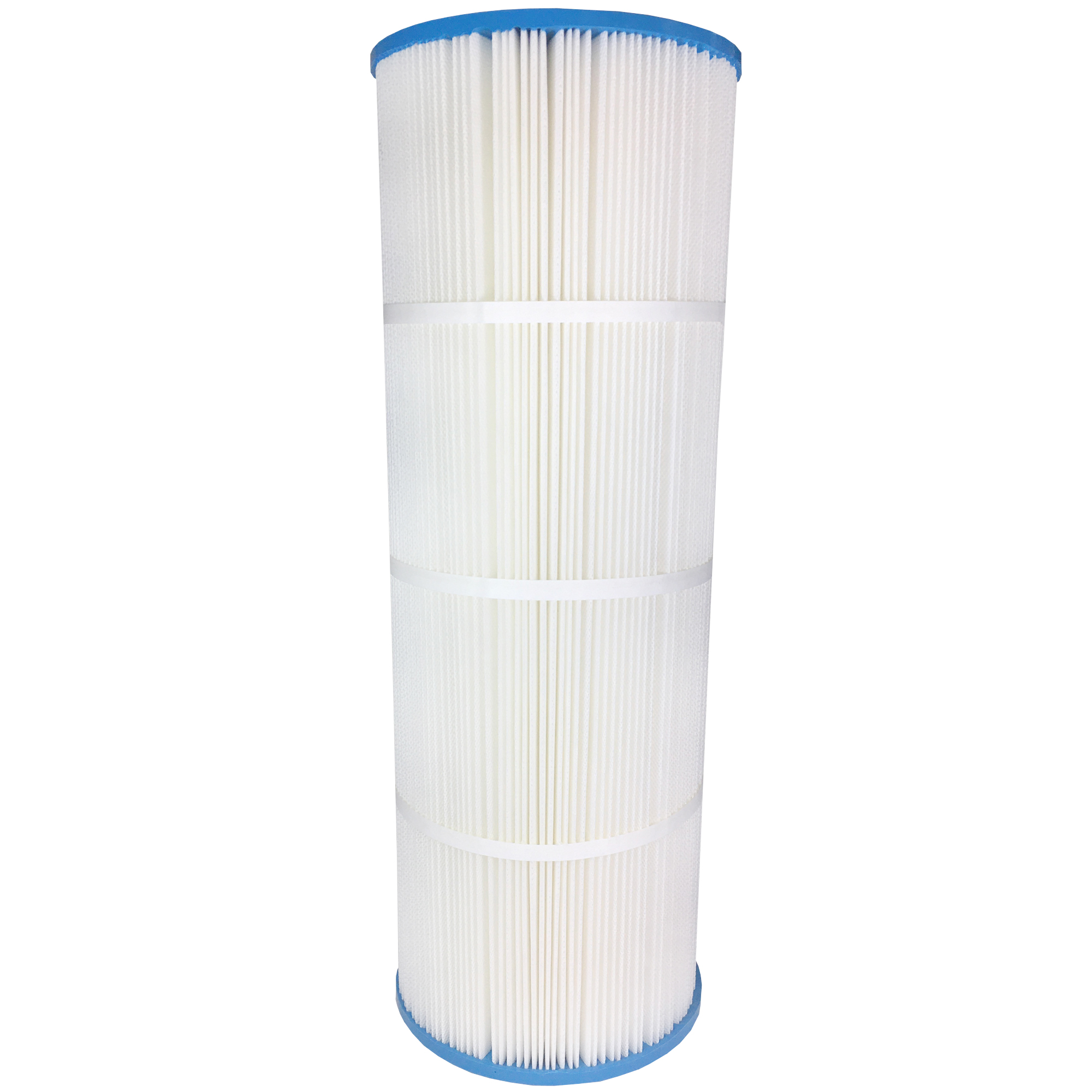 Royal's Choice Hayward EasyClear C550 - 1 filter per box