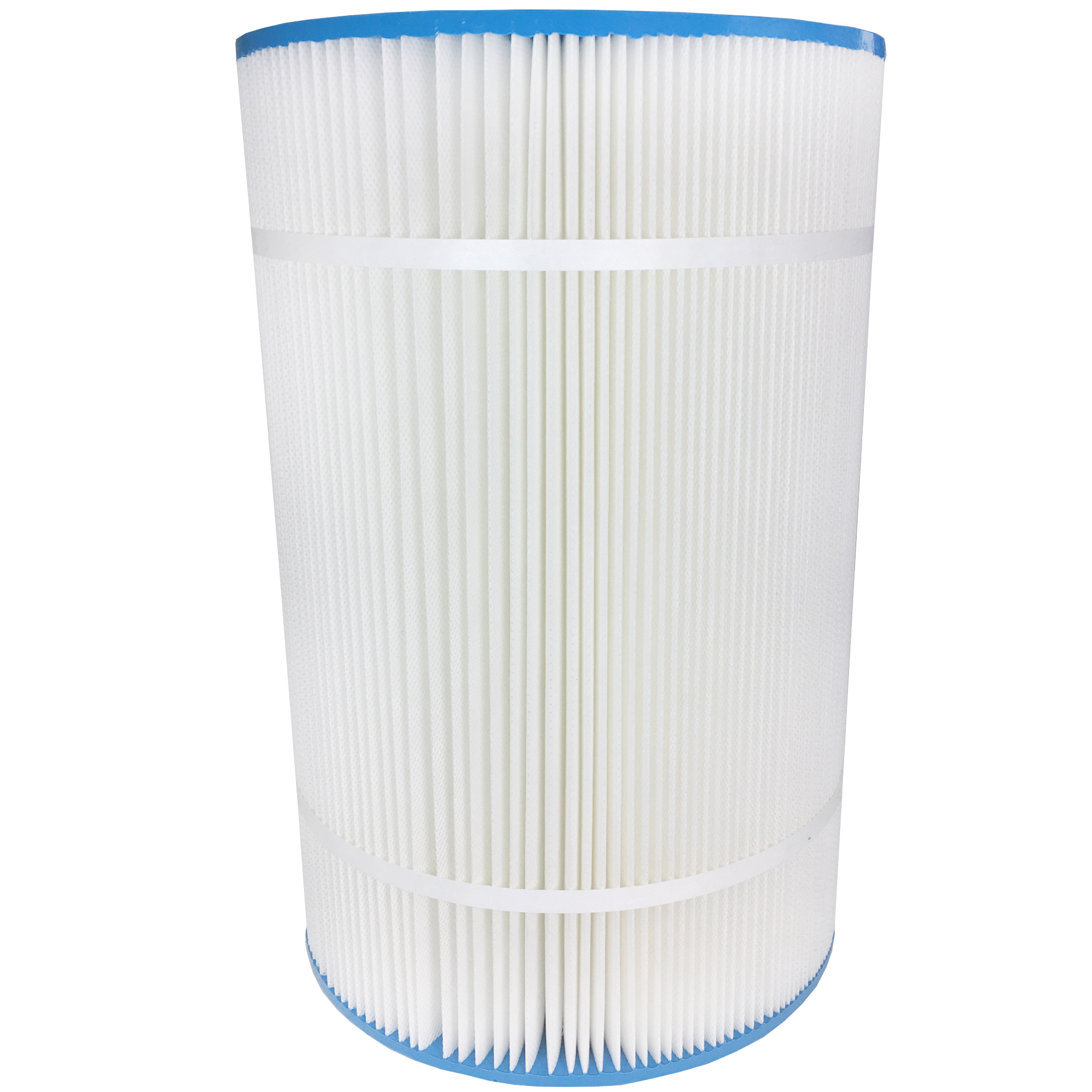 Royal's Choice Hayward ASL FullFlo C850 - 1 filter per box
