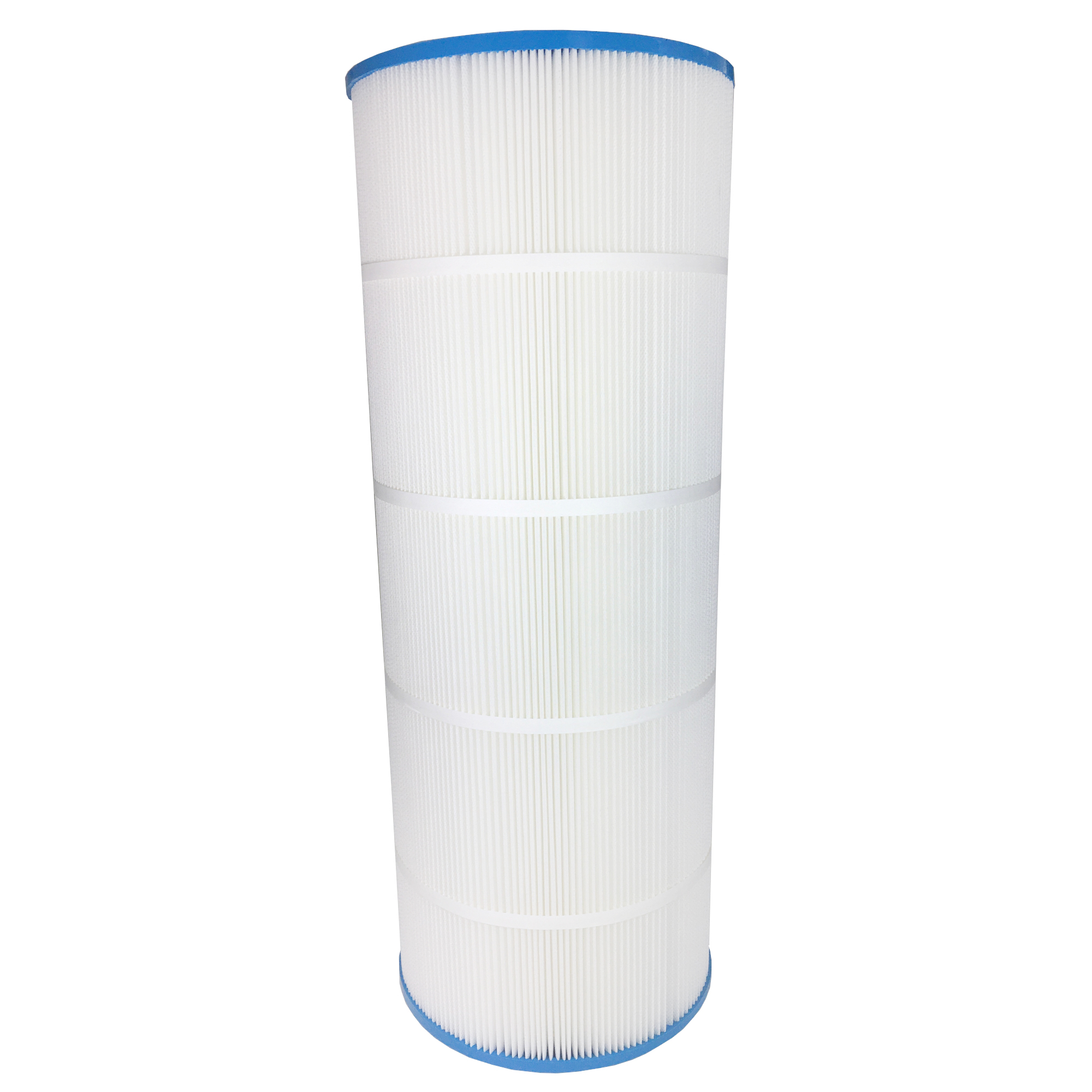 Royal's Choice Jandy CS 100 - 1 filter per box