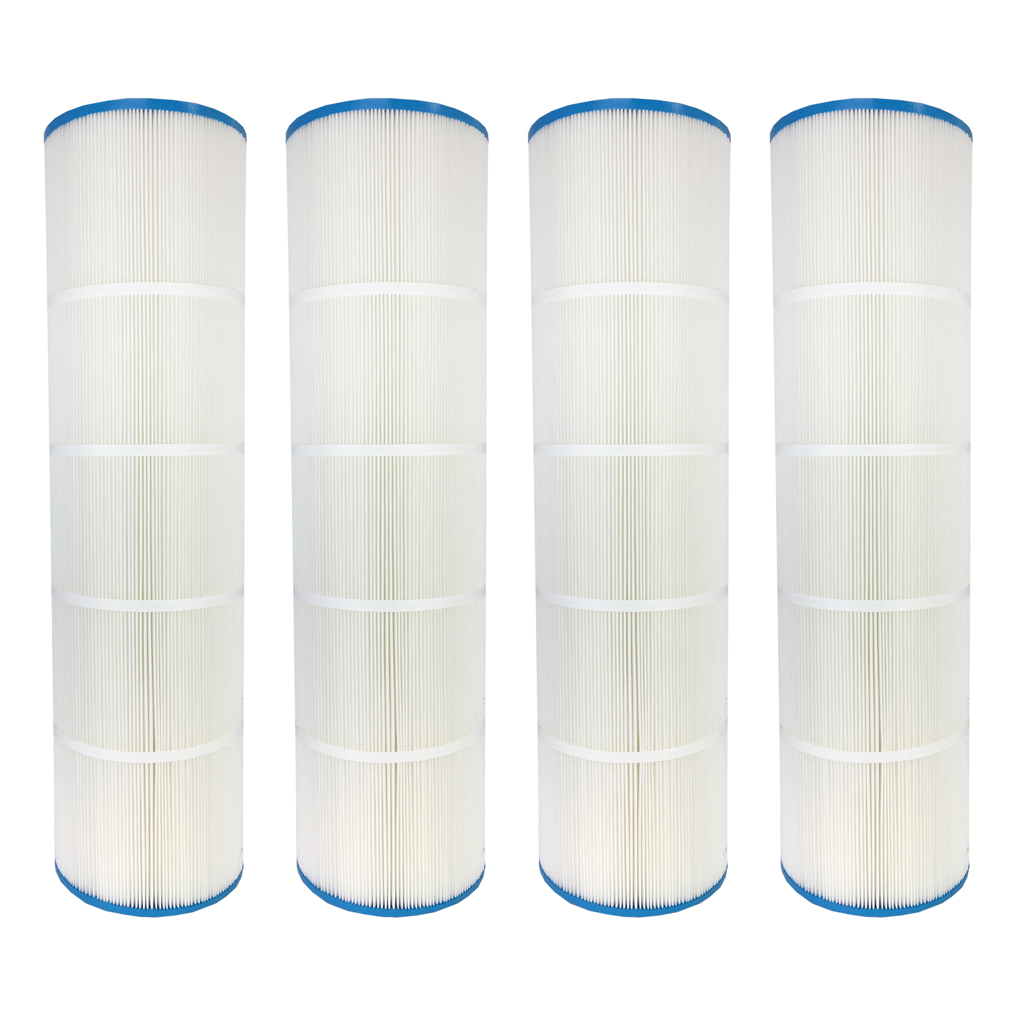 Royal's Choice Pentair Clean & Clear Plus 4 - 4 filters per box