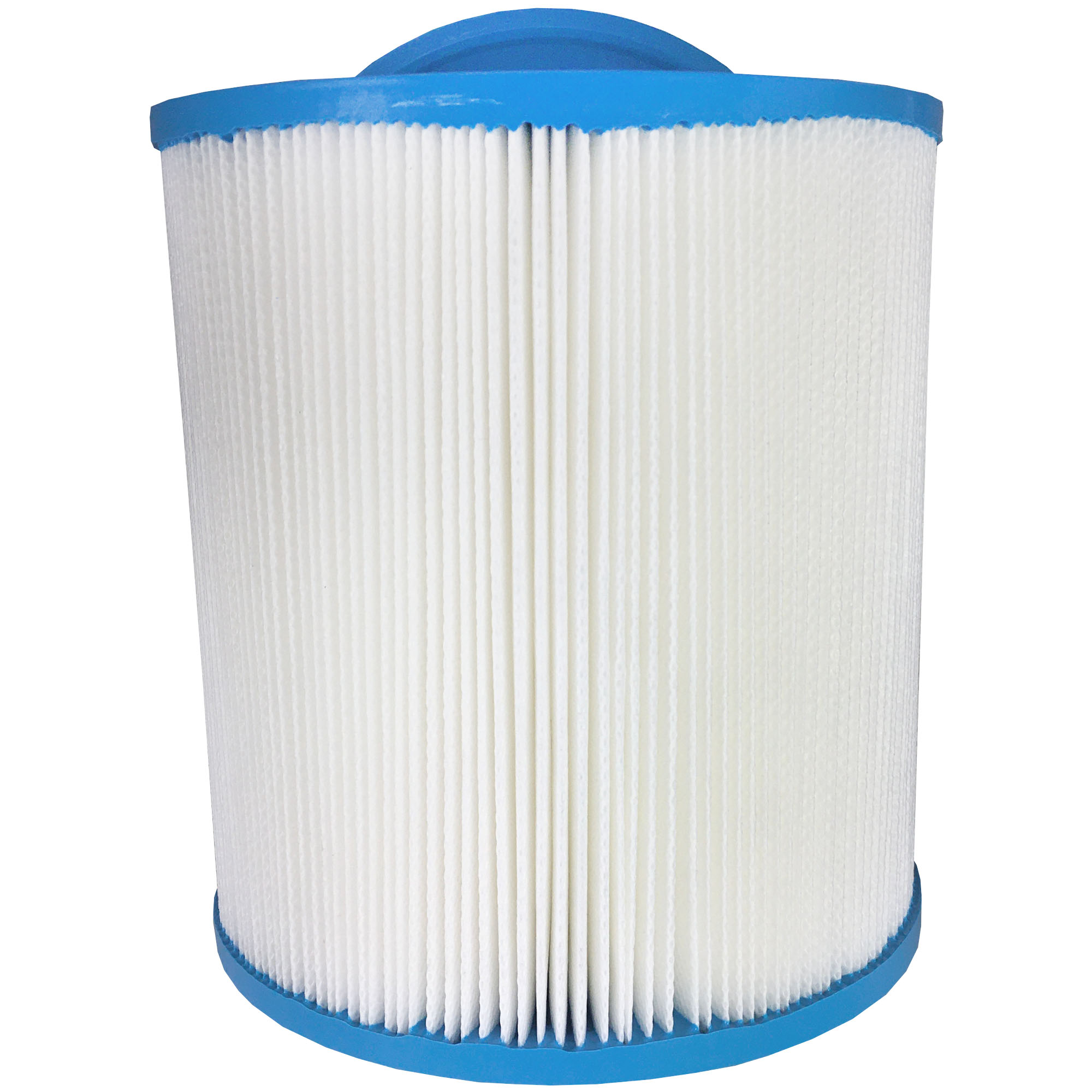 Royal's Choice American Spas; Artesian - 1 filter per box