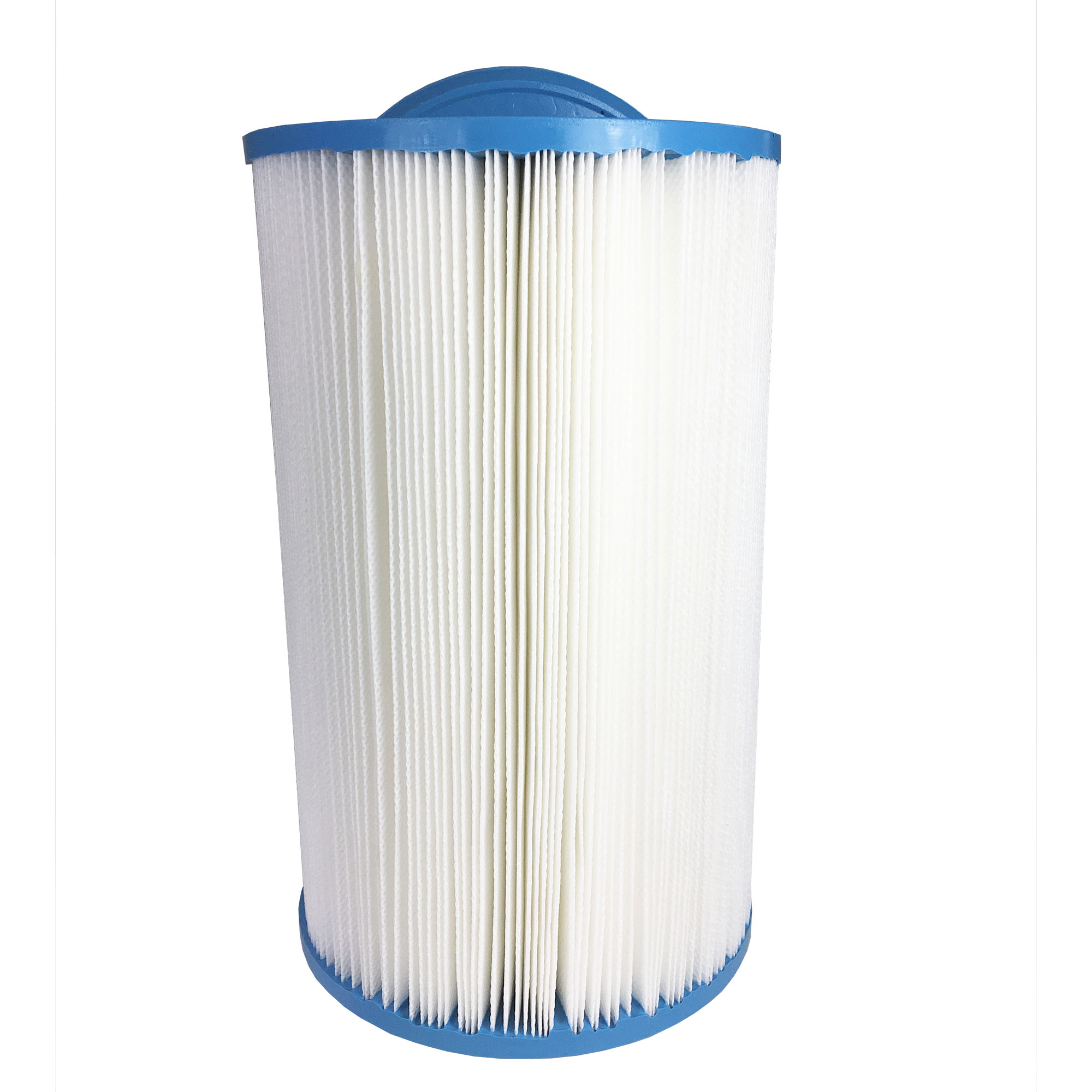 Royal's Choice DFA Spas; Arizona Pacific - 1 filter per box