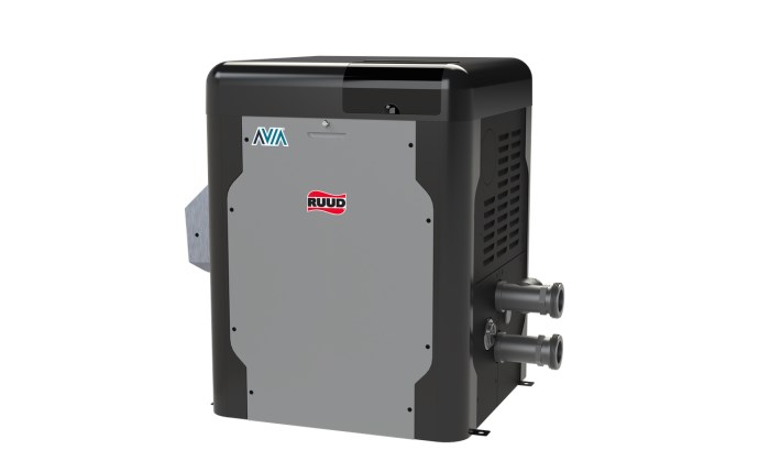 RUUD AVIA Liquid Propane Low NOx Pool and Spa Heater 399K BTU