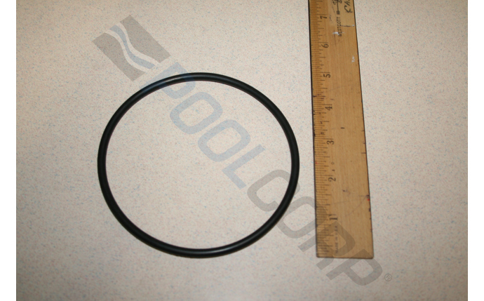Pentair O-Ring
