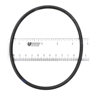 Tagelus/Meteor Sand Dollar Valve Body O-Ring