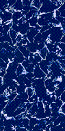 Embassy 12' x 20' Oval Caribbean Blue 48"-54" Overlap 25GA Liner