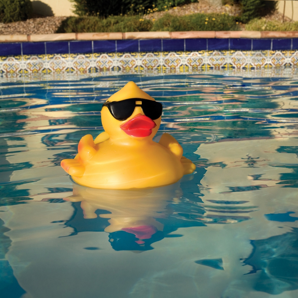 Derby Duck Pool Float Rubber Duck Float Derby Duck Duck Inflatable