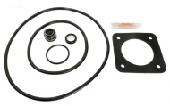 Pump Tune Up Kit (GOKIT6) Sta-Rite Dura Glas/Maxi Glas Pre 1998