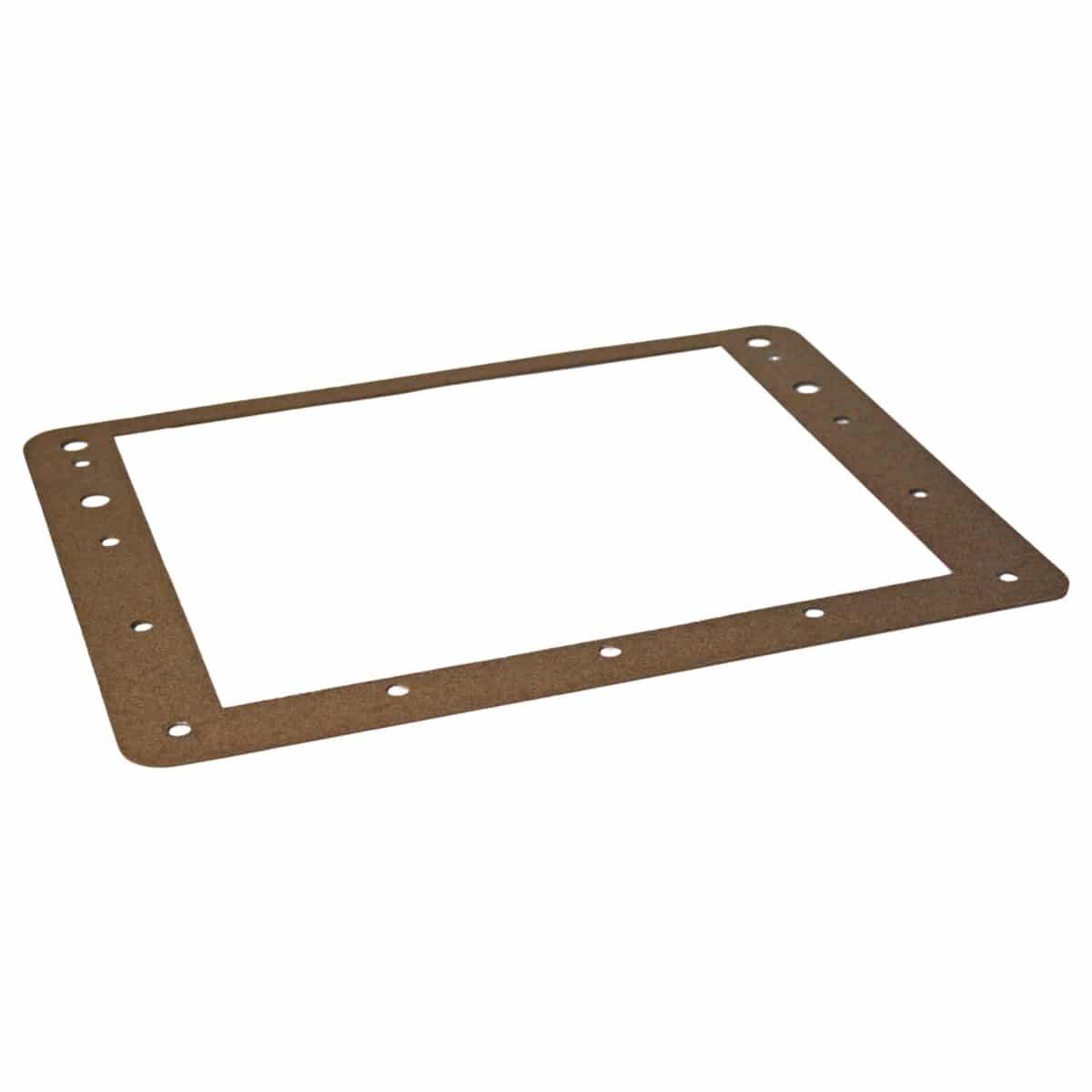 Aqua Genie Skimmer Faceplate Gasket - H01616P