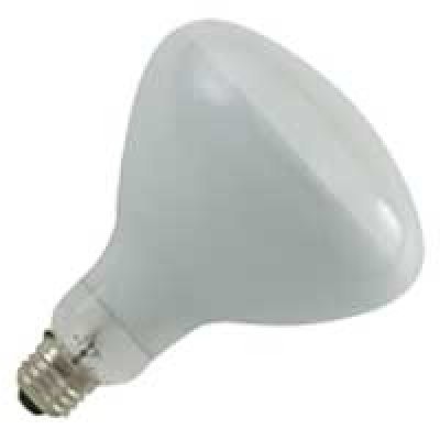 Bulb 500w 120v R40 Med Base Royal