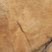 Western Sandstone
