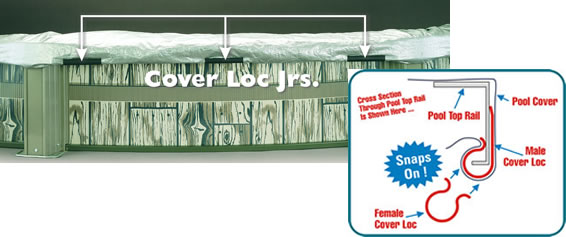 Cover Loc Jr. (12-pk.)