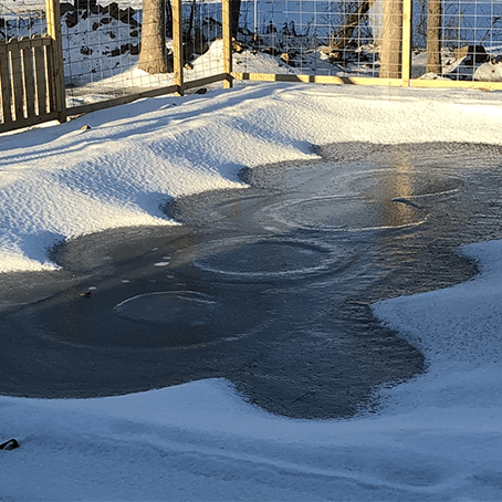 Automatic Pool Covers