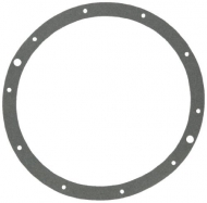 11-1/2" Hayward / Astral Niche Gasket