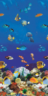 GLI 15' x 30' Oval Aquarium 52" Unibead 20GA+ Liner