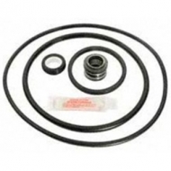 Pump Tune Up Kit (GOKIT46) Pentair Dynamo