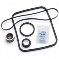 Pentair Challenger Pump Tune Up Kit (GOKIT5)
