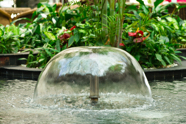 Water Features